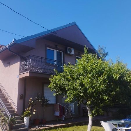 Apartment Andjela 贝尔格莱德 外观 照片